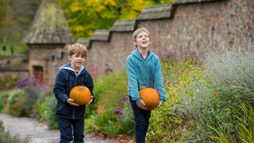 Two children carrying pumpkins in the Walled Garden in autumn at Knightshayes, Devon